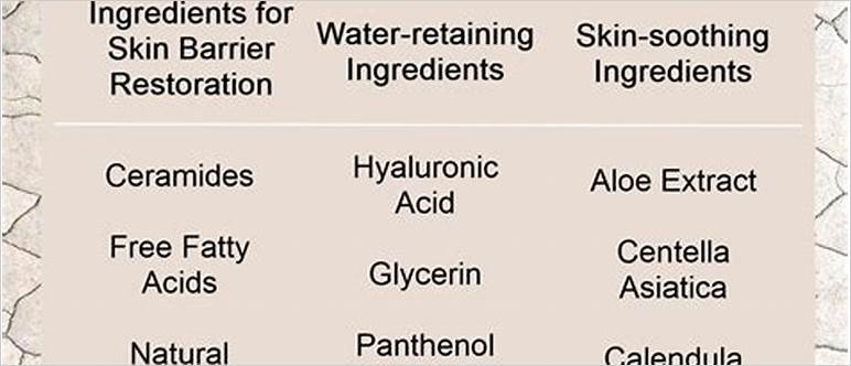 Skin barrier repair ingredients